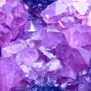 lightpurple lightpurple